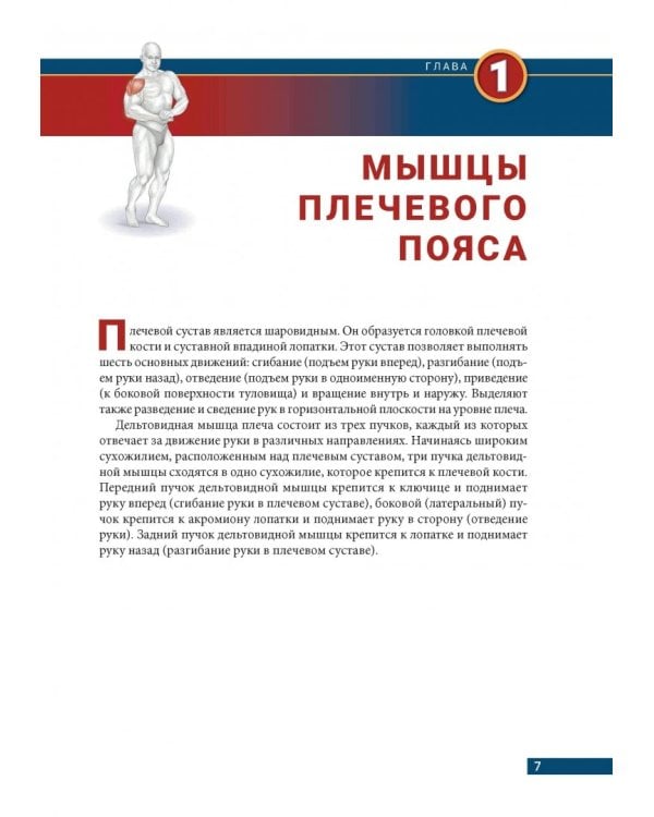 Анатомия бодибилдинга. Иллюстрированное пособие по скульптурной проработке мышц. Новая редакция