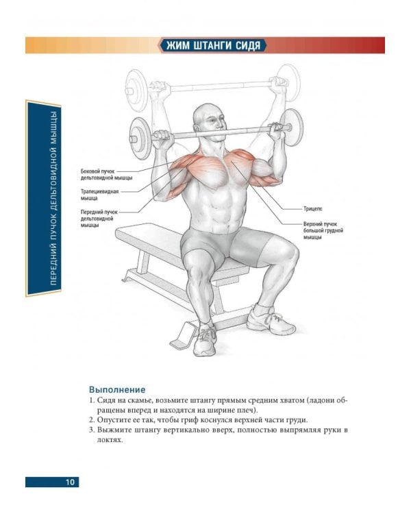 Анатомия бодибилдинга. Иллюстрированное пособие по скульптурной проработке мышц. Новая редакция