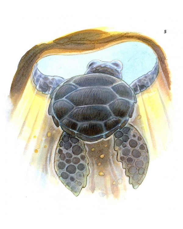 Как стать смелым?