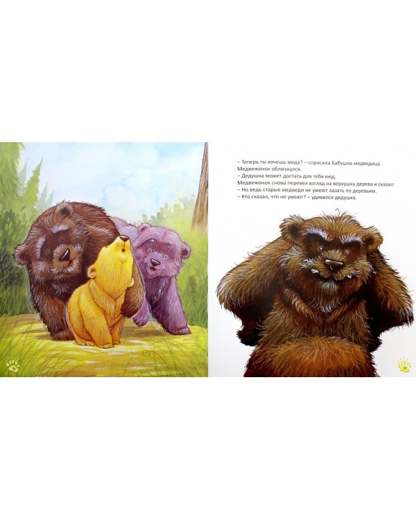 Старые медведи не умеют лазать по деревьям