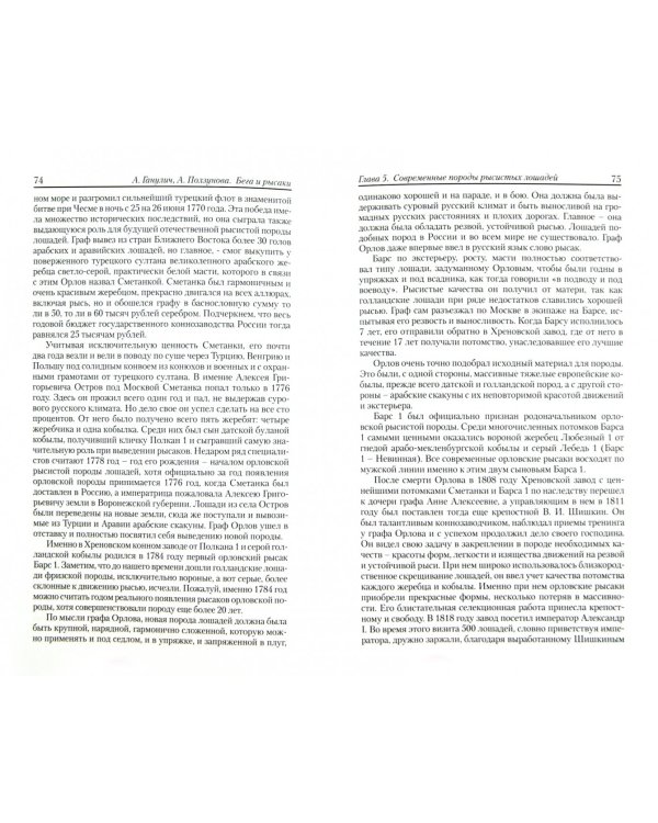 Бега и Рысаки. История и современность