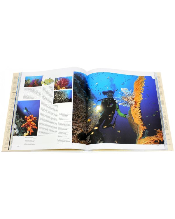 Лучшие места мира для дайвинга