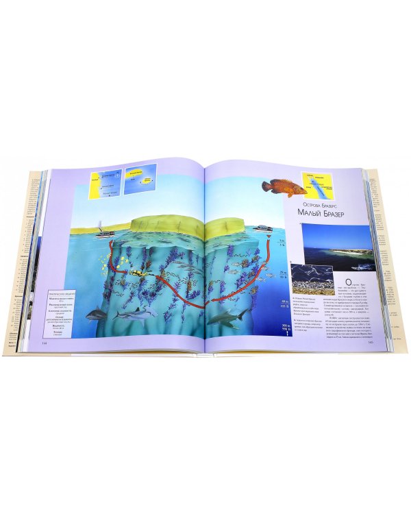 Лучшие места мира для дайвинга