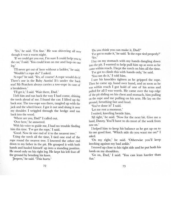 Danny the Champion of the World