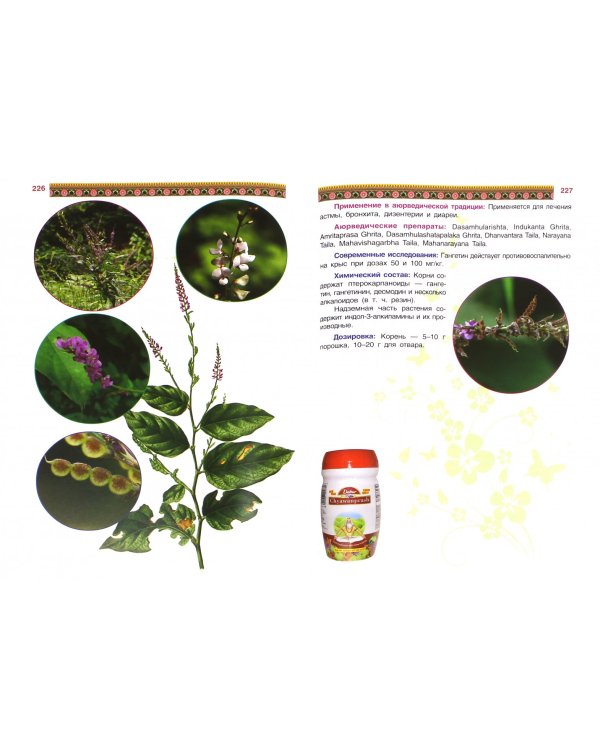 Фитотерапия в классической аюрведе