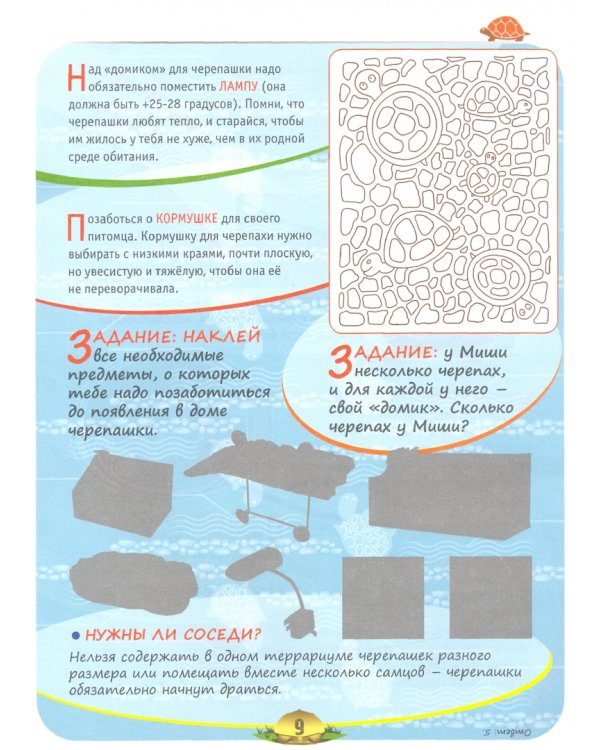 Я и моя черепашка. Взрослеем вместе