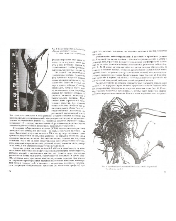 Бюллетень Главного ботанического сада. Выпуск 197