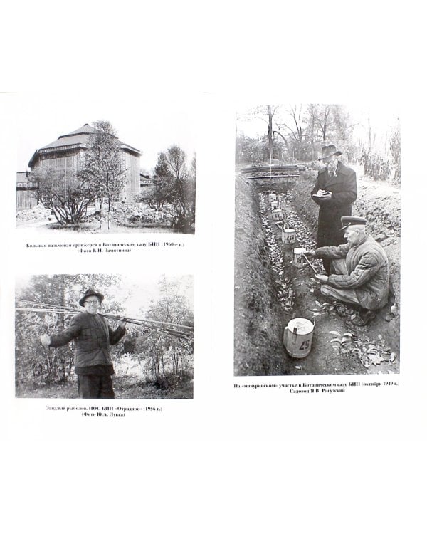 Сергей Яковлевич Соколов, 1897-1971