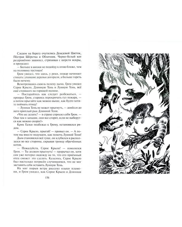 Юность Грома