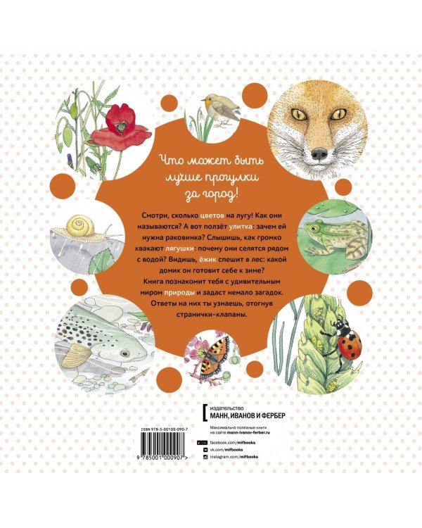 Живая природа. За городом