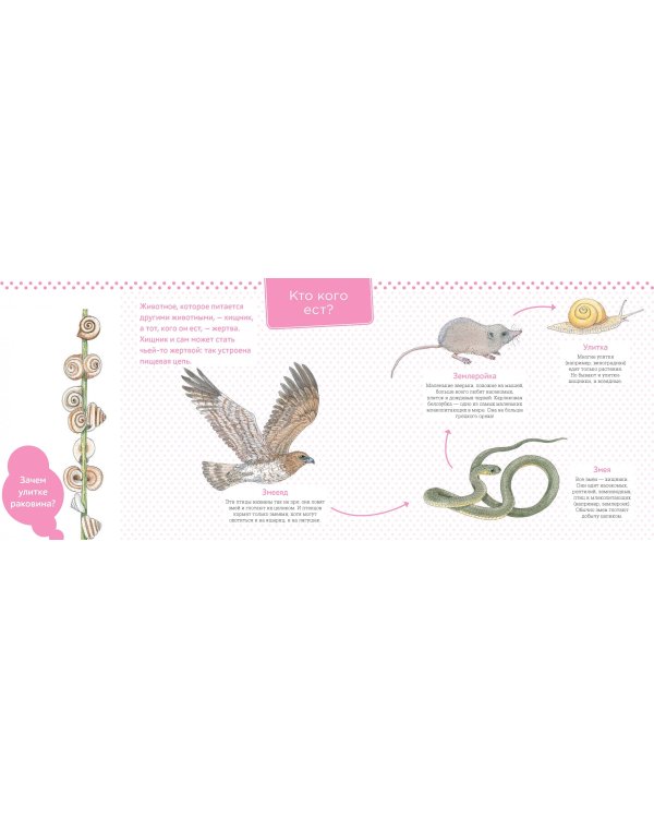 Живая природа. За городом