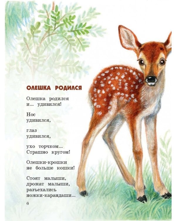 Кто самый добрый