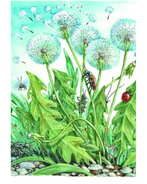 Необыкновенные приключения Карика и Вали