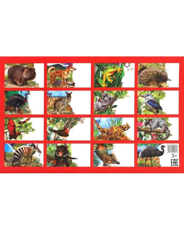 Животные Австралии