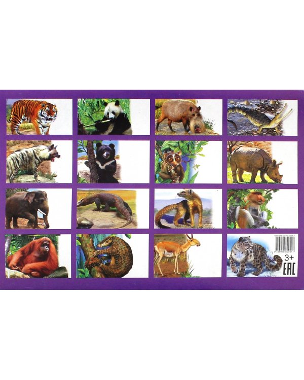 Животные Азии