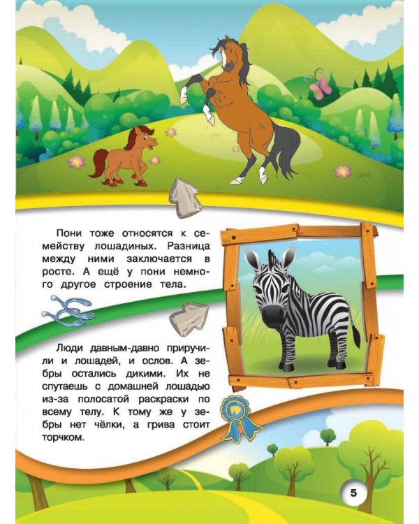 Лошади и пони