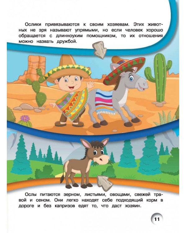 Лошади и пони