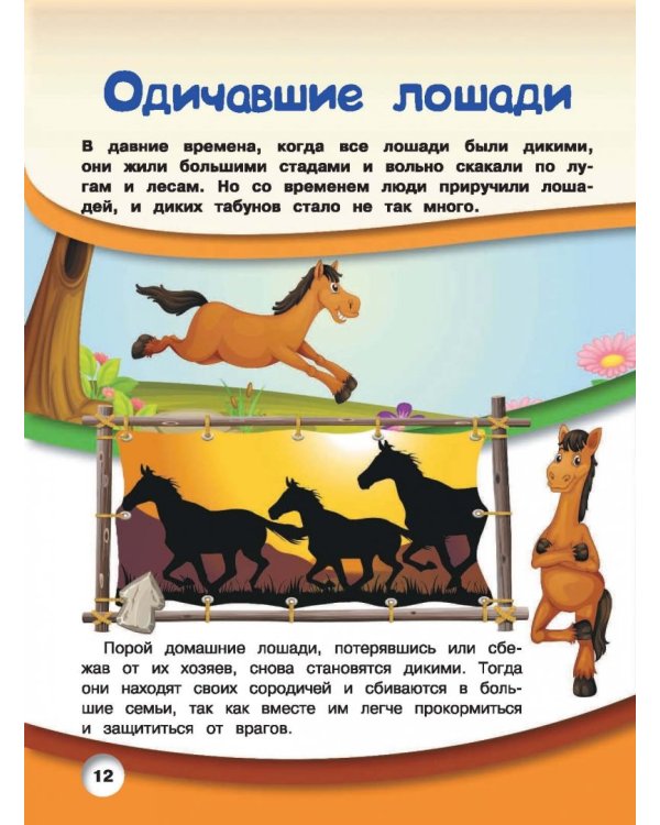 Лошади и пони