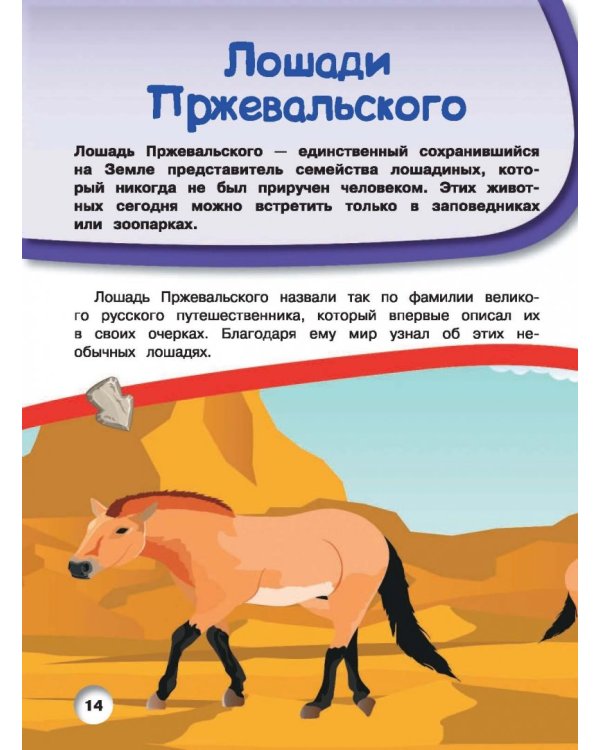 Лошади и пони