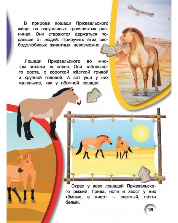 Лошади и пони