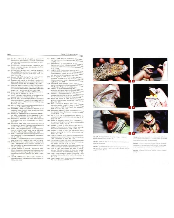 Ветеринарная герпетология