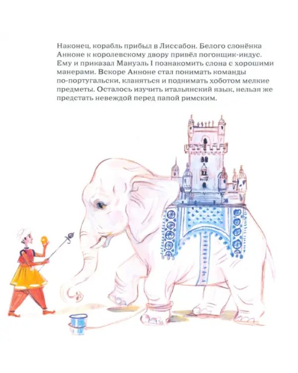 Папа Римский, Слон индийский, Рафаэль Урбинский