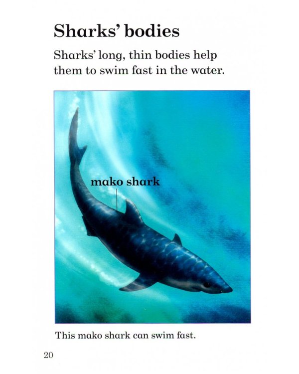 Sharks Activity Book – Ladybird Readers. Level 3 + downloadable audio