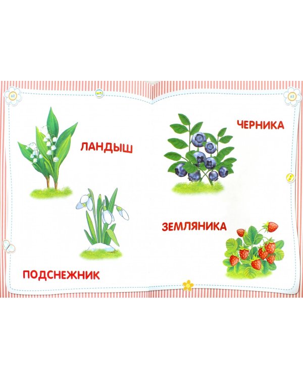 Самая первая книга малыша