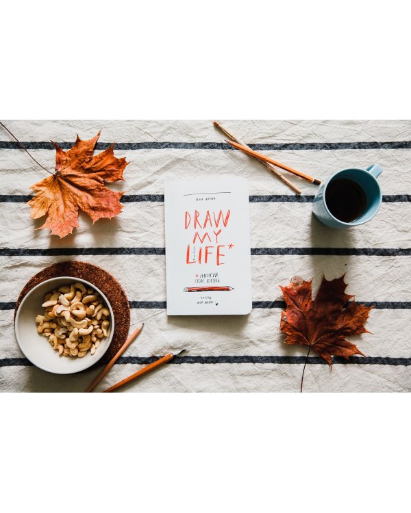 Draw My Life. Нарисуй свою жизнь