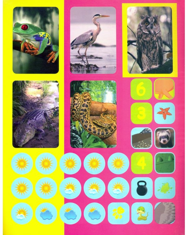 Хищники. Сборник развивающих заданий с наклейками. Загадки, пословицы, скороговорки