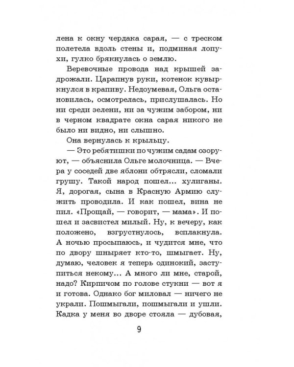 Тимур и его команда