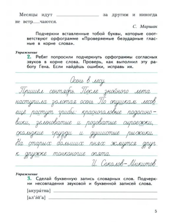 Пишем грамотно. 4 класс. Рабочая тетрадь. В 2-х частях. Часть 1