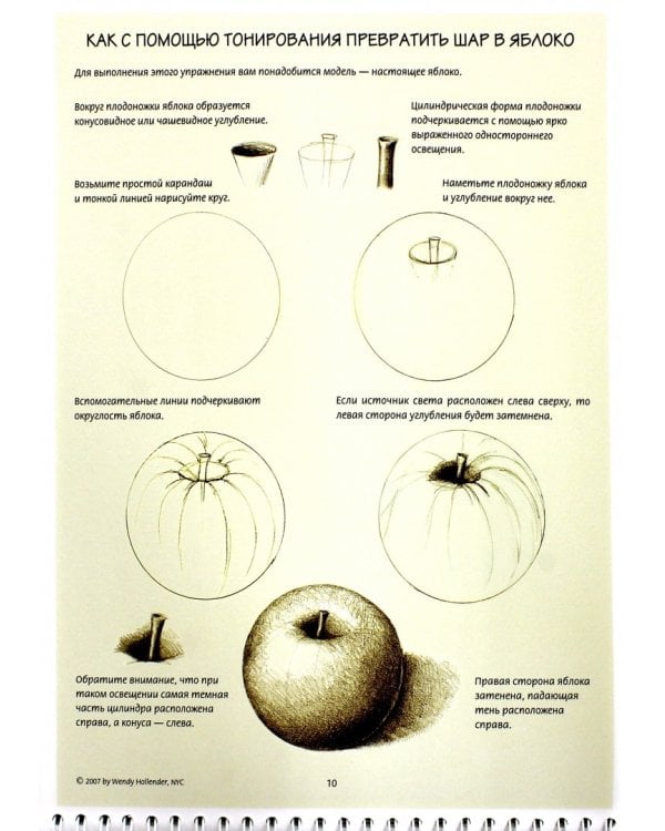 Ботаническая иллюстрация. Обучающий скетчбук