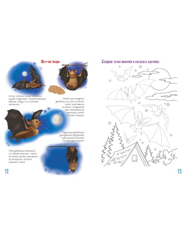 Детсад для зверят. Книжка с многоразовыми наклейками. Занятия с увлечением 3-6 лет