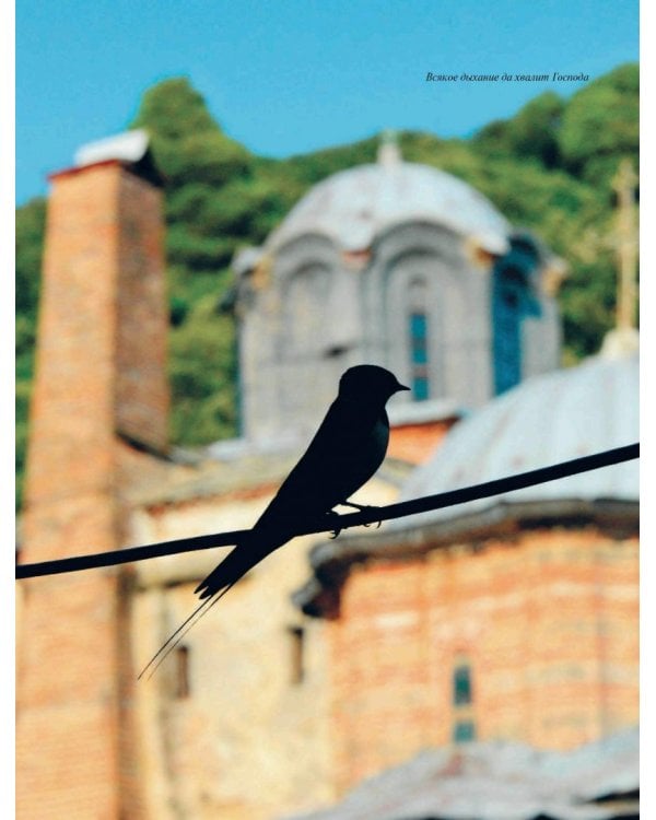 Тайна православной трапезы