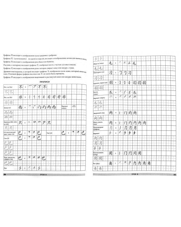 Китайский язык. Обучающие прописи