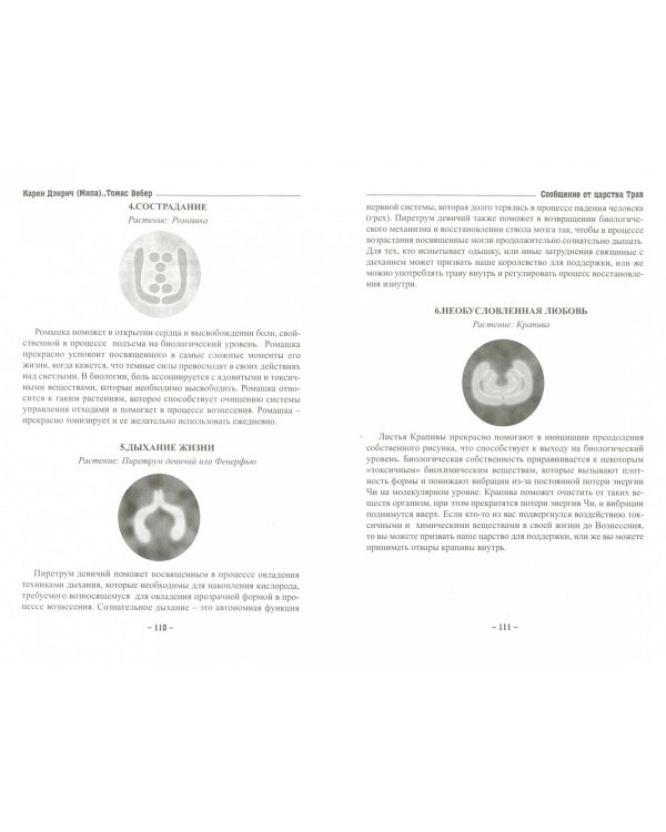 Восхождение в танец единства. Сообщение от царства Трав