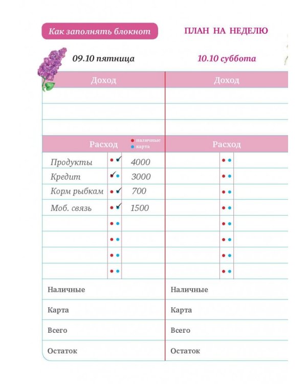 Большой CashBook. Мои доходы и расходы. Dream