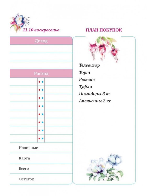 Большой CashBook. Мои доходы и расходы. Dream