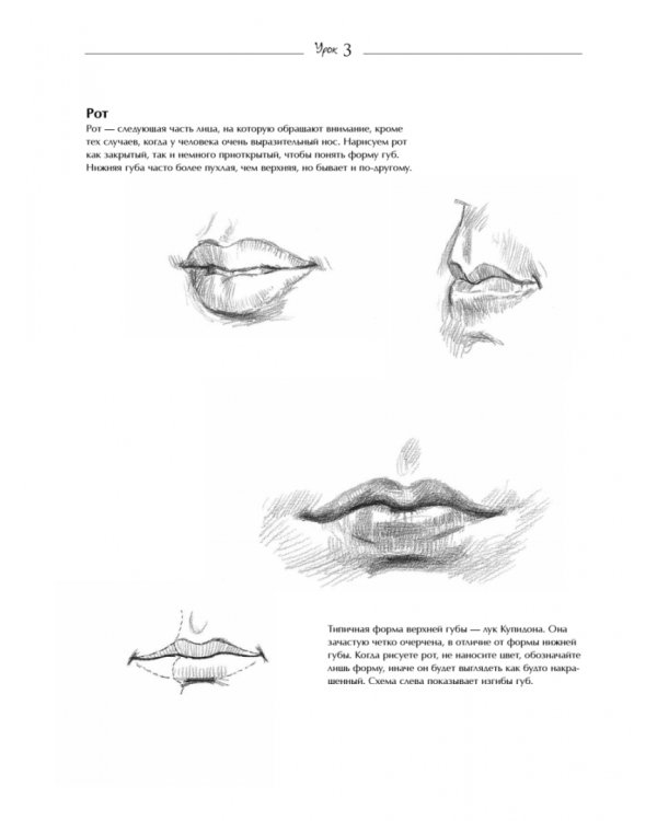 7 простых уроков рисования