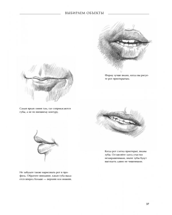 7 простых уроков рисования