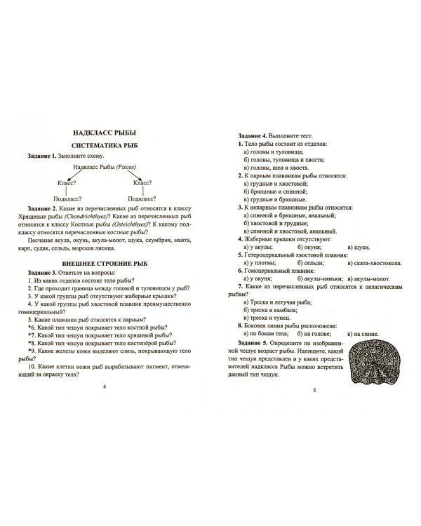 Биология. 7-8 классы. Материалы к урокам. Зоологический калейдоскоп. Рыбы, земноводные. ФГОС