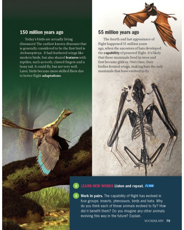 Impact 3. Student's Book