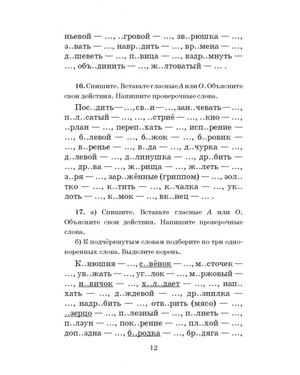 Русский язык. 5 класс. Правила и упражнения