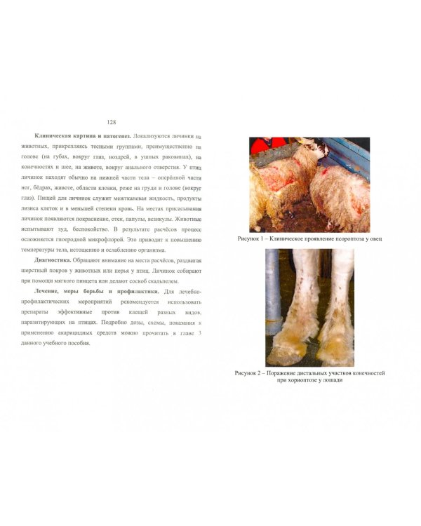 Акарология для ветеринарных врачей. Учебное пособие