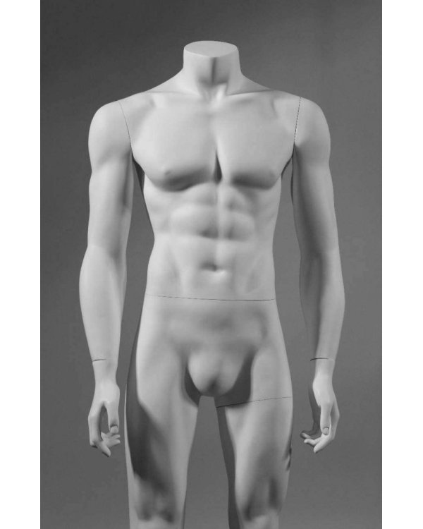 The Question. Будущее