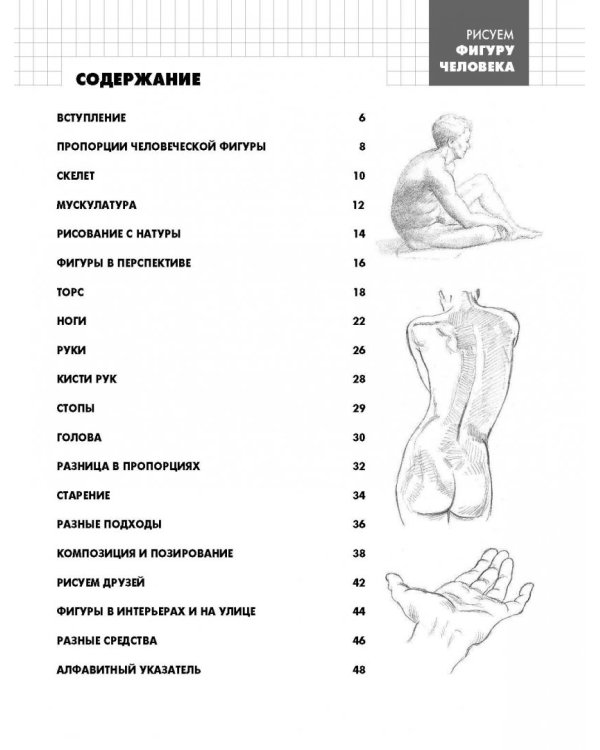 Рисуем фигуру человека