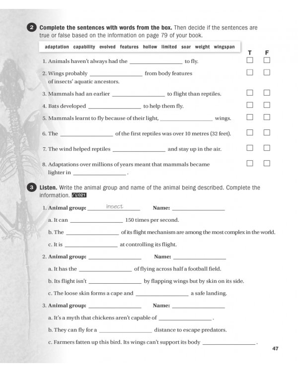 Impact 3. Workbook (+ Audio CD)