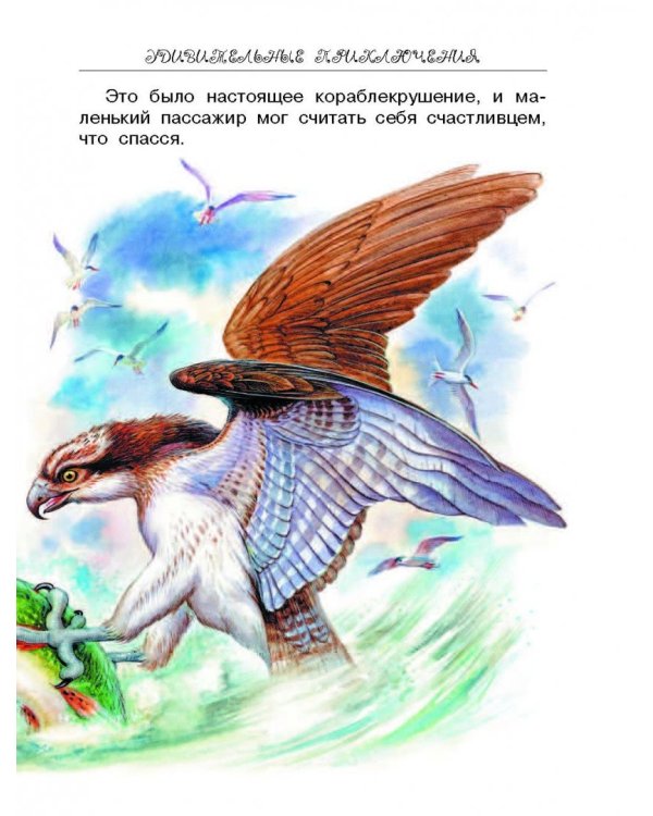 Сказки и рассказы про животных