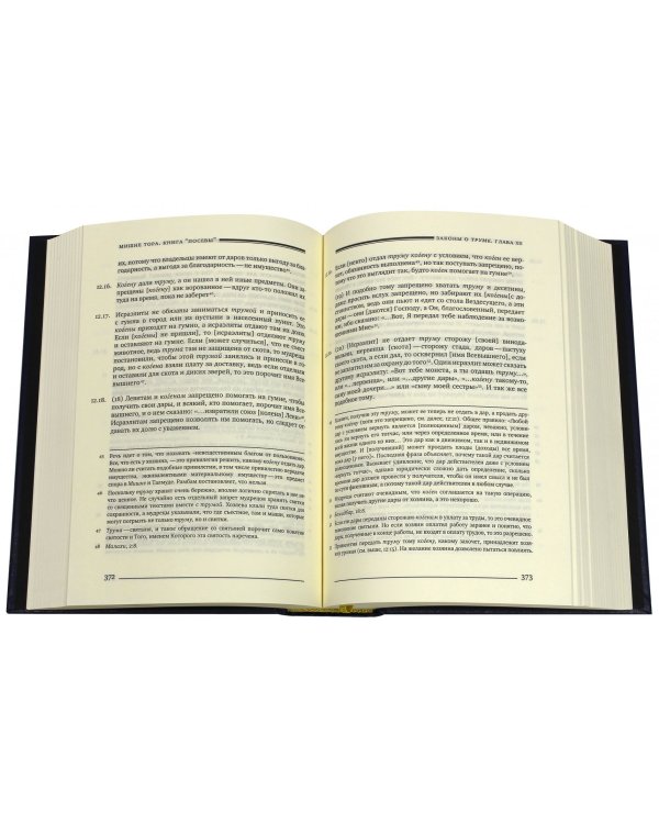 Мишне Тора. Кодекс Маймонида. Книга "Посевы"